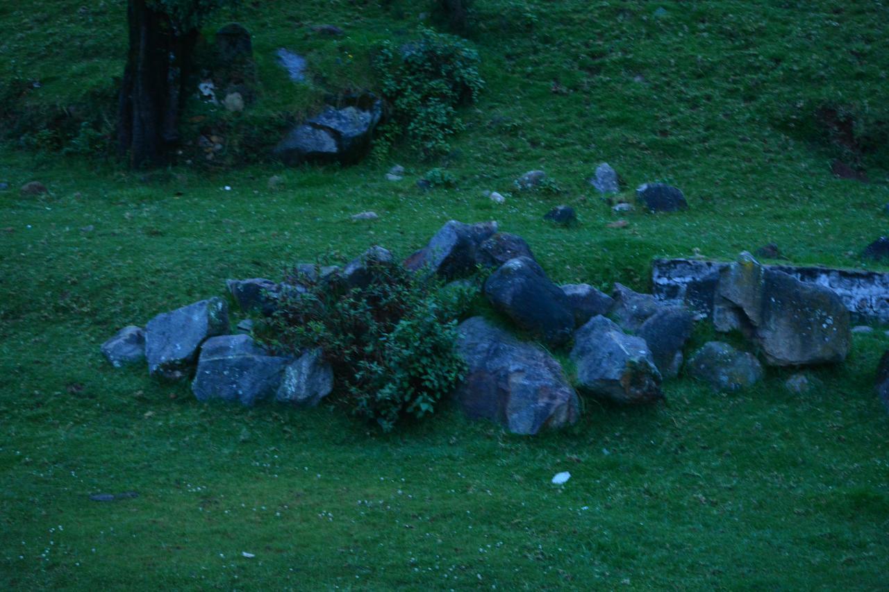 The Conerstayz Ooty Luaran gambar